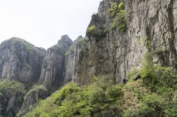 岭表逢故人