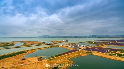 海阳湖别浩初师