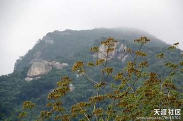 登卧龙山