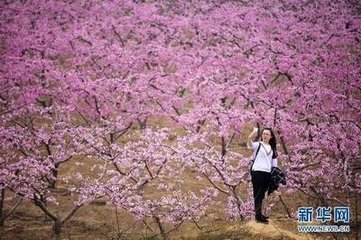 送侯参谋赴河中幕（侯继时从王谔辟）