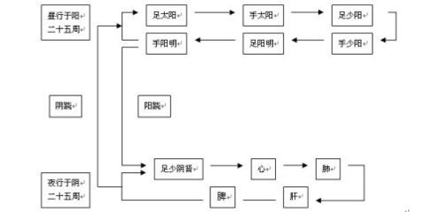 卫气行