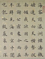 留别吴七正字