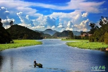 使东川。南秦雪