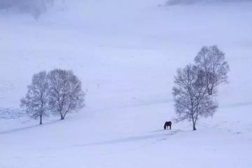 道院杂兴