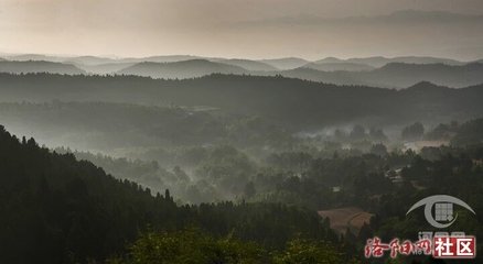 送人归乡