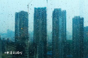 雨霁登北岸寄友人