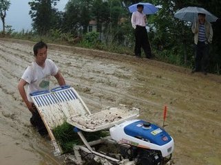 巴东遇小雨