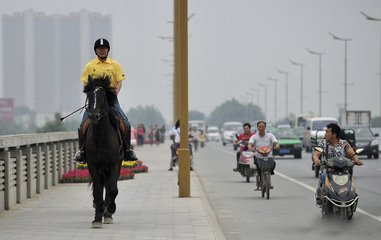 贺张十八秘书得裴司空马（或作酬张秘书因骑马赠诗）