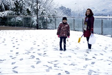 和司徒侍中喜雪