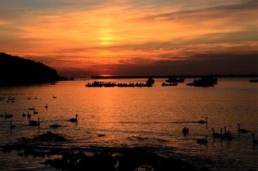 鹧鸪天　鹅湖寺道中