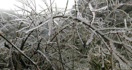 祷雪麻仙洞前立春一日湫压县境而雪霰已集连