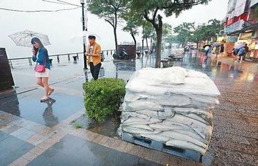 夜大风明日视新竹无恙