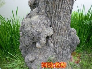 送陈纠