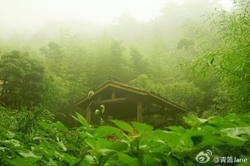 雨后坚山行之约