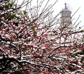 送无怀道士游富春山水