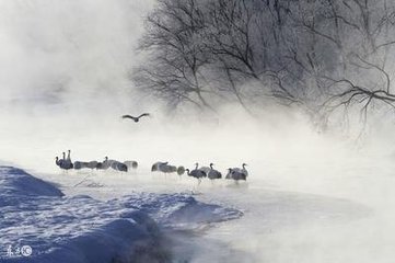 冬晚对雪忆胡居士家（一作王劭诗，非）