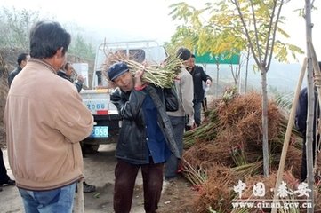 秋日书怀寄河南王尹