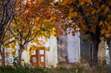 晨游昌师院