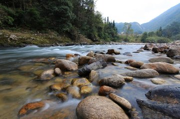 野步至近村