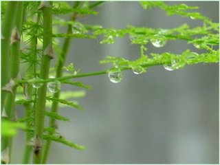 杂剧·苏子瞻风雪贬黄州