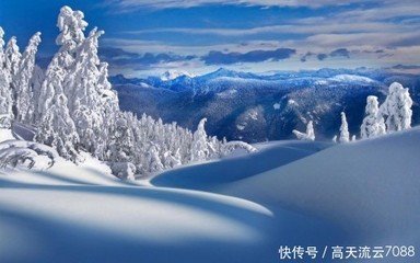 和宾客相国咏雪