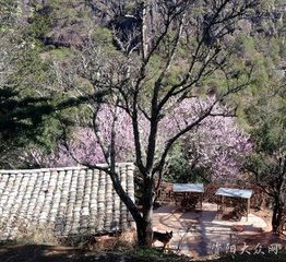 石钟寺