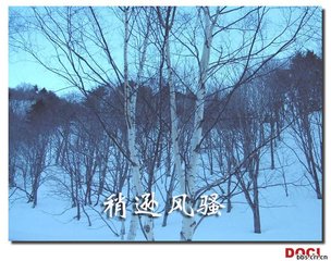 沁园春（代寿宗室）