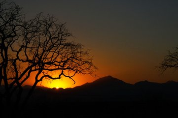 寄陈鲁山