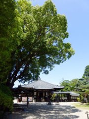 题大安寺通禅师院