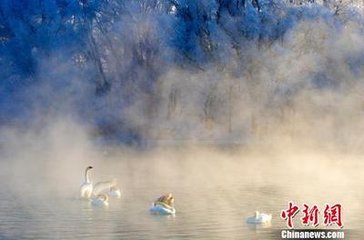 猷川雪后送僧粲临还京，时避世卧疾