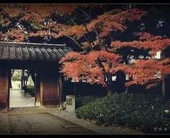 立秋后十日风雨凄冷独居有感