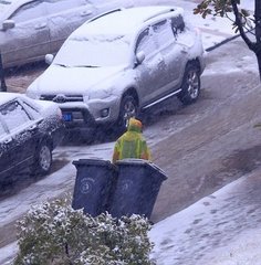 大雪书怀