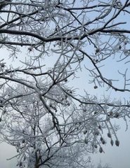 缑山月 雨夕