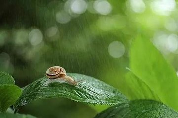 水龙吟·樽前花底寻春处