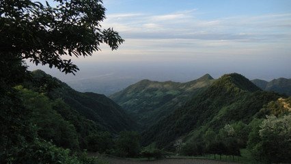 醉中归盩厔