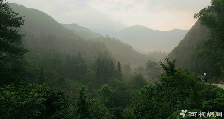 鹧鸪天（席上再用韵）