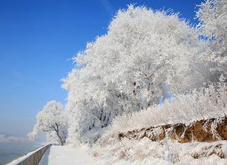 顷在道中闻邦衡侍郎将进周礼新解尝赋诗就为