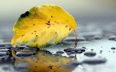 木兰花慢·立秋夜雨送梁汾南行