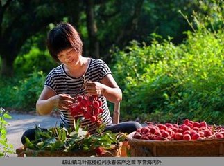 题邹处士隐居（一作题裴处士园林）