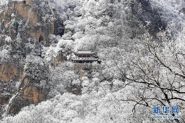 雪後