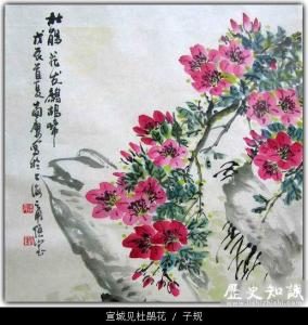 宣城见杜鹃花 / 子规