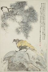 山雉