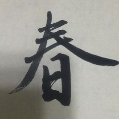 减字木兰花·立春