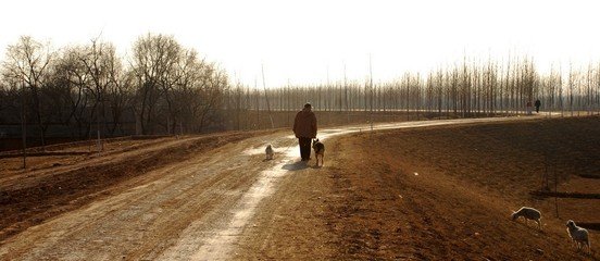 竹间亭小酌怀欧阳叔弼季默呈赵景贶陈履常