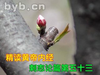 刺志论