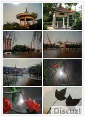 久雨杜门遣怀