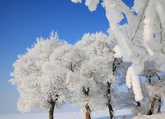 送穆寂赴举