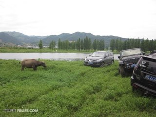 访关子开兄弟于余姚怀先世旧契