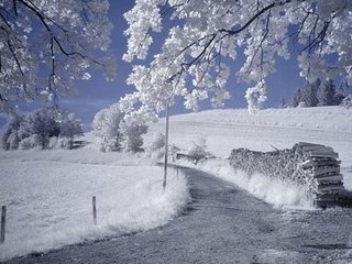 白雪歌送武判官归京