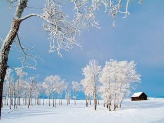 同诸客嘲雪中马上妓